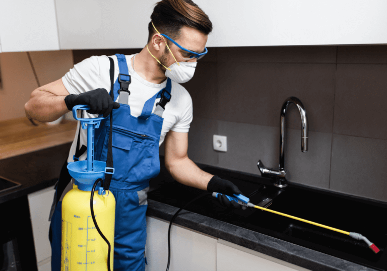 effective Vancouver pest control