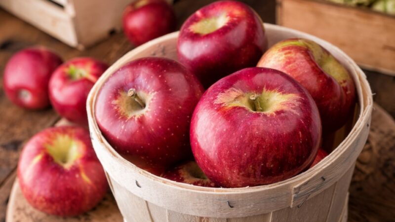 Apples With Many Types Of Health Advantages