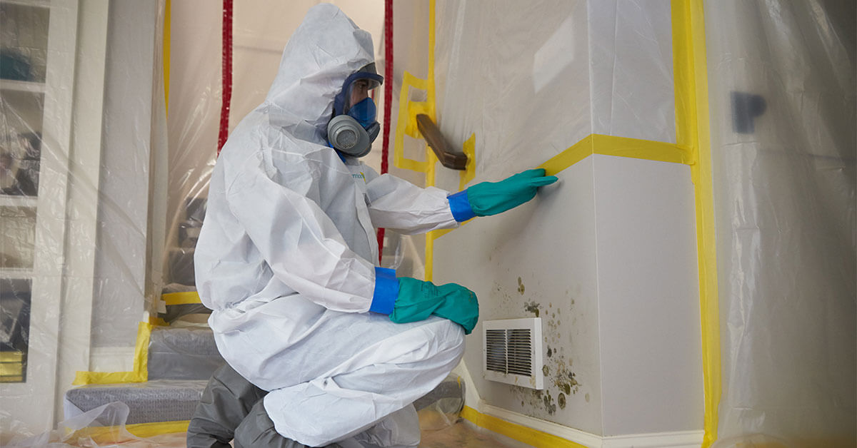 How To Properly Clean And Disinfect After Mold Testing