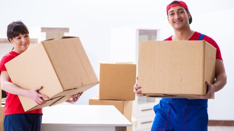 How to move your library easily with professional movers