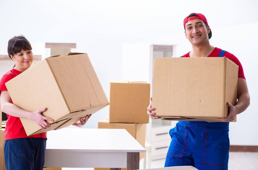 How to move your library easily with professional movers