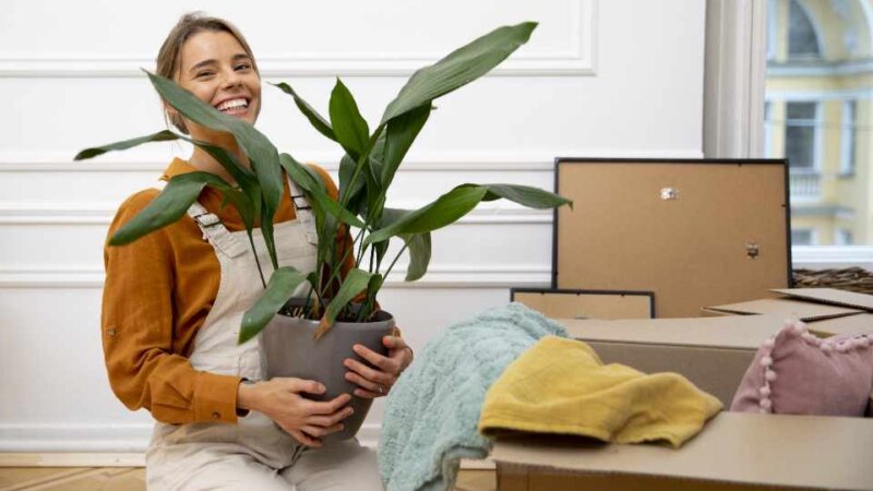 Spruce Up Your Space: Hot Home Trends for 2024