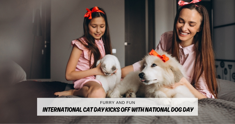 Furry and Fun International Cat Day Kicks Off with National Dog Day (2)
