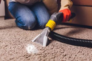 How to Remove Salt Stains from Carpet