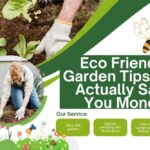 Eco Friendly Garden Tips That Actually Save You Money