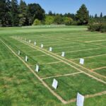 Retirement Land for Sale Healesville
