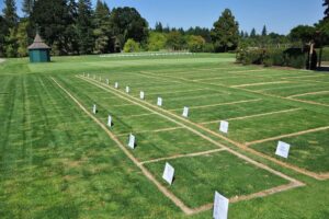Retirement Land for Sale Healesville