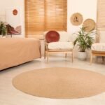 Rugs for Living Rooms Bedrooms