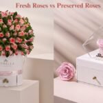 Fresh Roses vs Preserved Roses