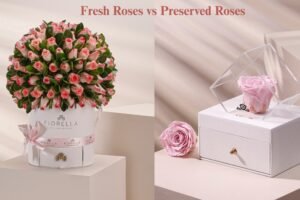 Fresh Roses vs Preserved Roses