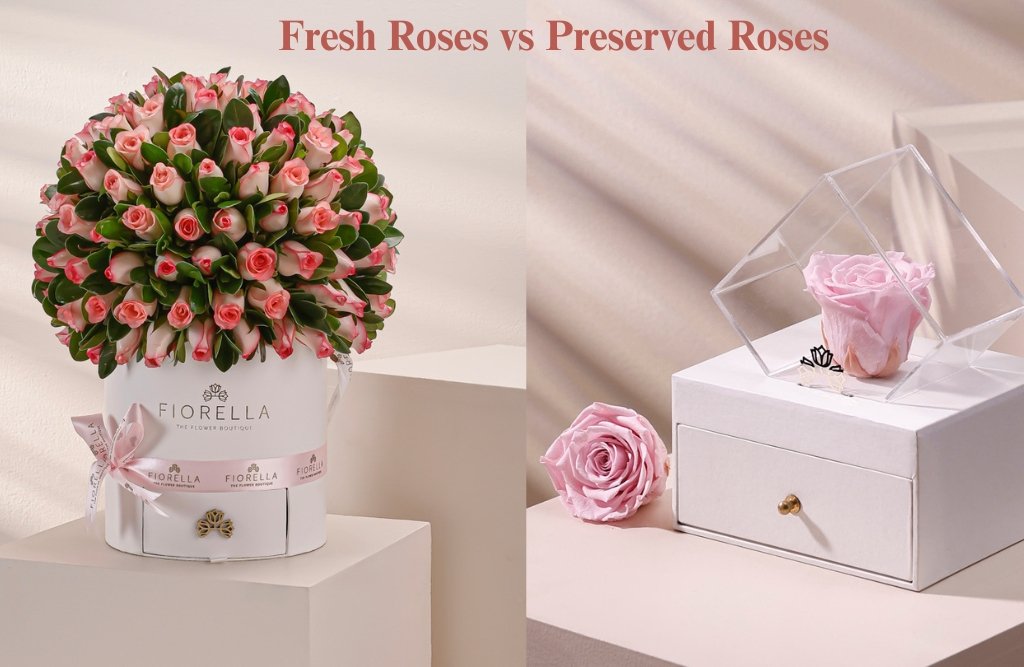 Fresh Roses vs Preserved Roses